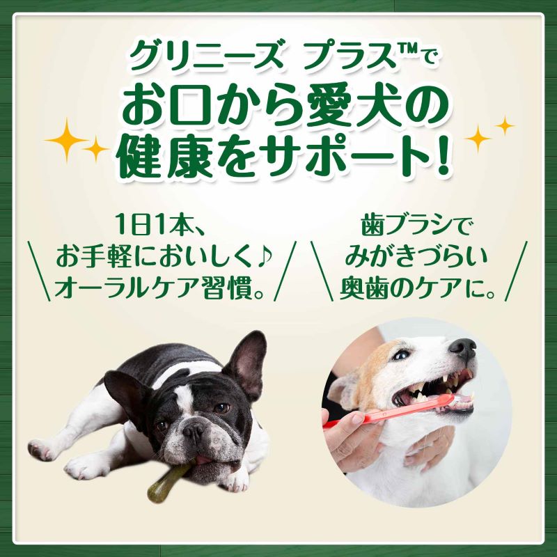 987円 【タイムセール！】 グリニーズ プラス カロリーケア 超小型犬用 体重 2-7kg 60本