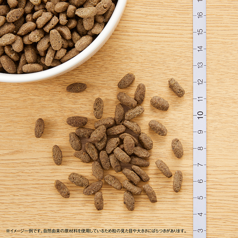 【公式通販限定】ニュートロ ナチュラル チョイス キャット 室内猫用 アダルト チキン 4.4kg