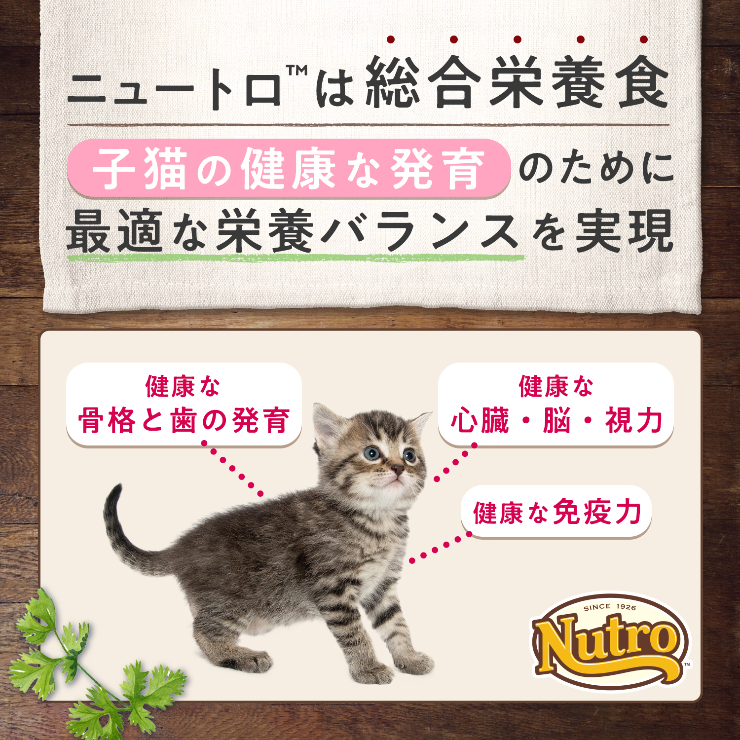 ニュートロ キャット デイリー ディッシュ 子猫用 チキン＆ツナ