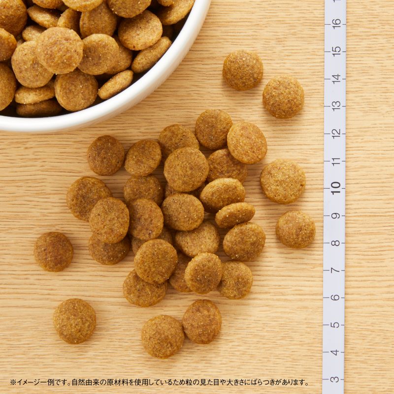 ナチュラルチョイスチキン&玄米小型成犬用プロ19キロ - ペット用品