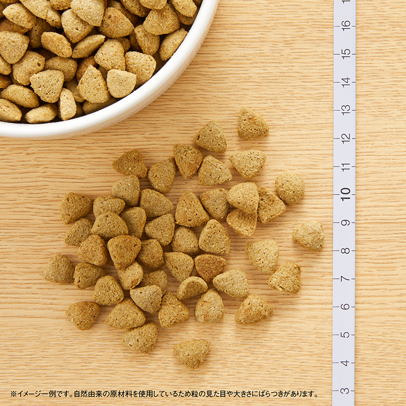 ニュートロ ナチュラル チョイス 減量用 全犬種用 成犬用 ラム＆玄米 2kg | ニュートロ™公式通販