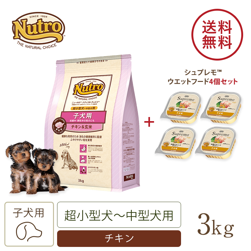 ニュートロ 子犬セット ドッグフード（ナチュラル チョイス 子犬用