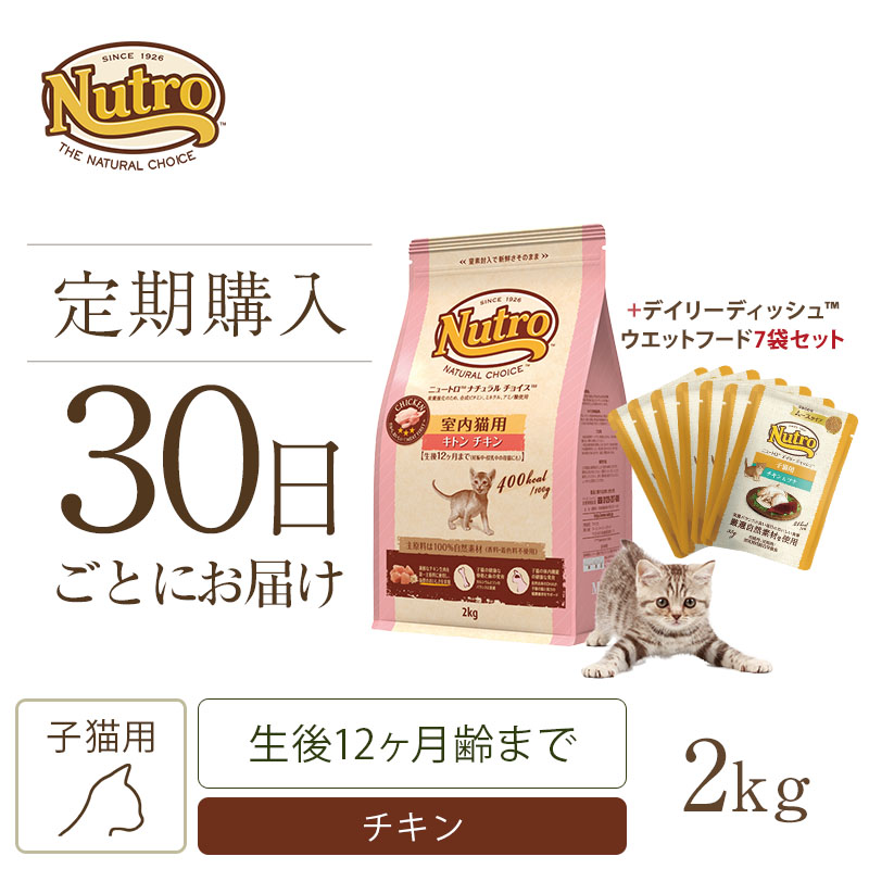 期間限定キャンペーン キャット グルメ仕立てのパテタイプ ディッシュ ビーフ ニュートロ デイリー お一人様５