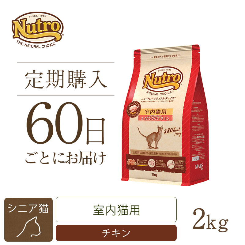 50%OFF!】 ニュートロ キャット デイリー ディッシュ 子猫用 チキン ツナ なめらかなムースタイプ パウチ ３５ｇ １２袋 １１袋 １袋おまけ  discoversvg.com