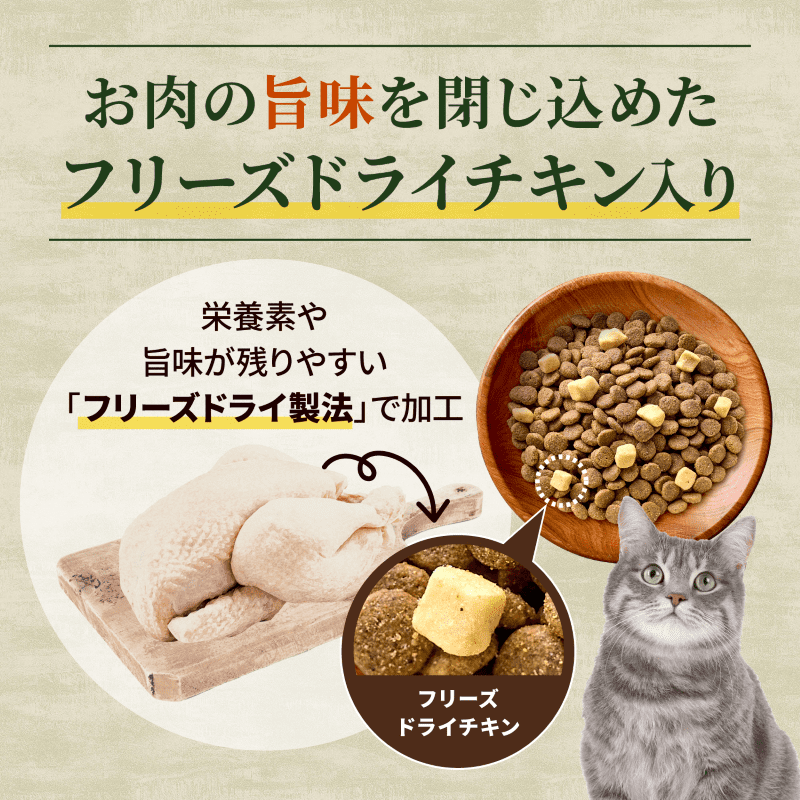 ニュートロ キャット ワイルド レシピ フリーズドライプラス アダルト サーモン 成猫用