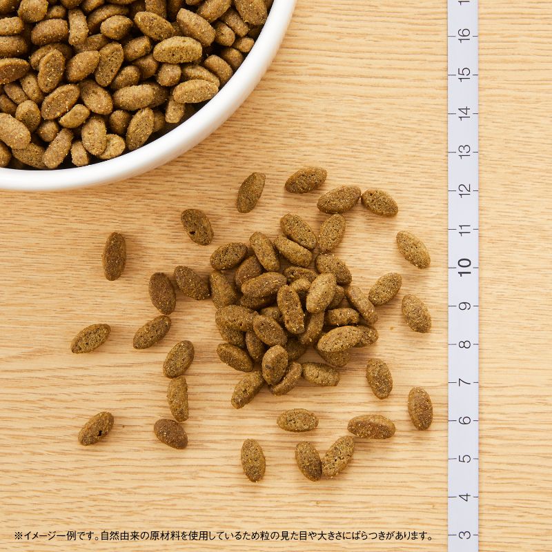 ニュートロジャパン ナチュラルチョイス室内猫用エイジングケアチキン2kg khxv5rg