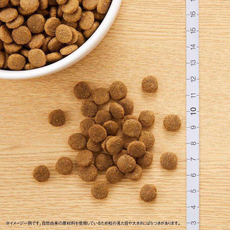 ニュートロ ナチュラル チョイス キャット 食にこだわる猫用 アダルト