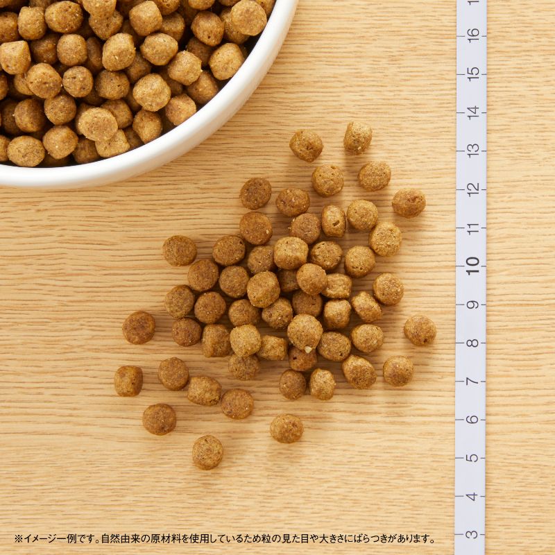 メルカリ便無料♡⑨ナチュラルチョイス 成犬 小型 ラム 17.5kg