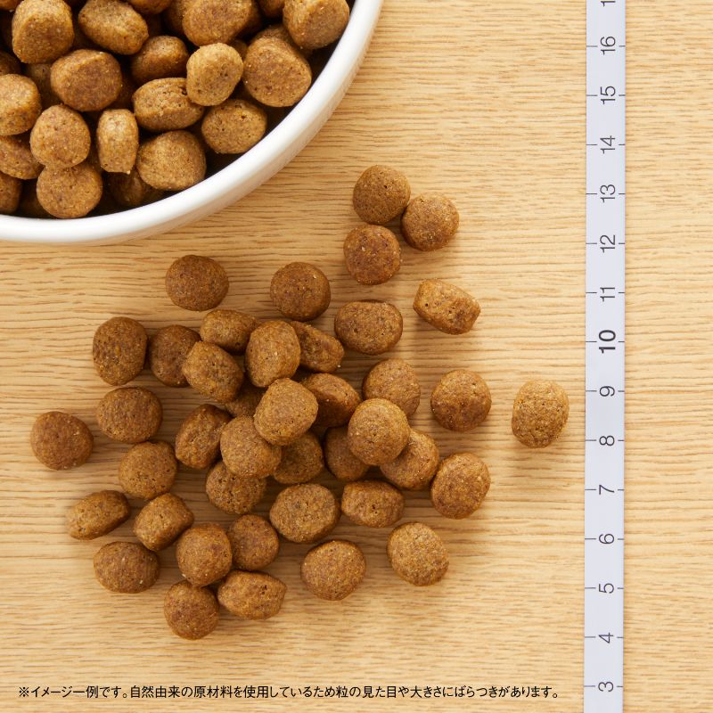メルカリ便無料♡⑨ナチュラルチョイス 成犬 小型 ラム 17.5kg ニュートロ