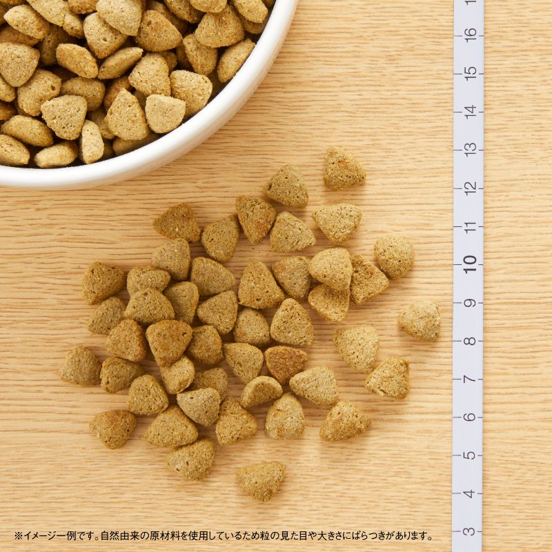 ニュートロ ナチュラル チョイス ラム玄米 中型犬~大型犬用 成犬用 4kg
