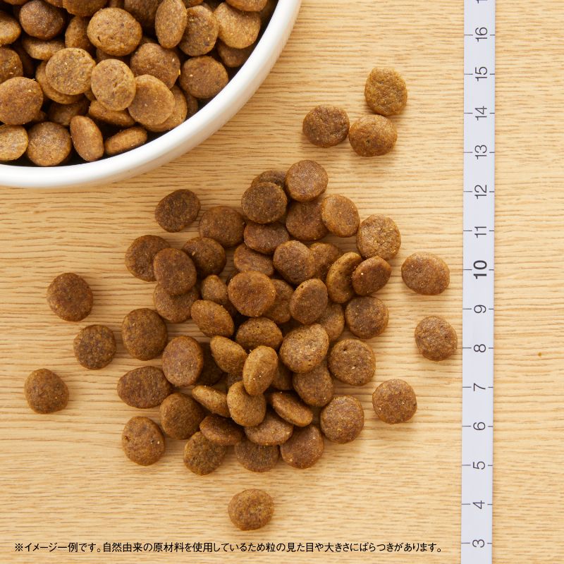 ニュートロ ワイルド レシピ 超小型犬～小型犬用 成犬用 チキン 4kg 2
