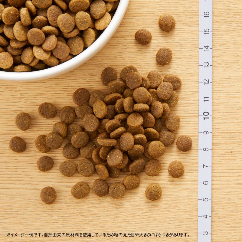 ニュートロ ワイルド レシピ 超小型犬~小型犬用 成犬用 チキン 2kg ...