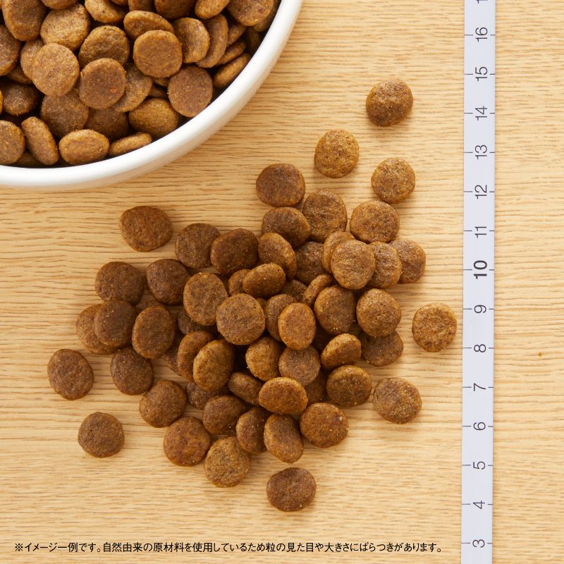 ニュートロ ワイルド レシピ 超小型犬～小型犬用 成犬用 ラム 4kg