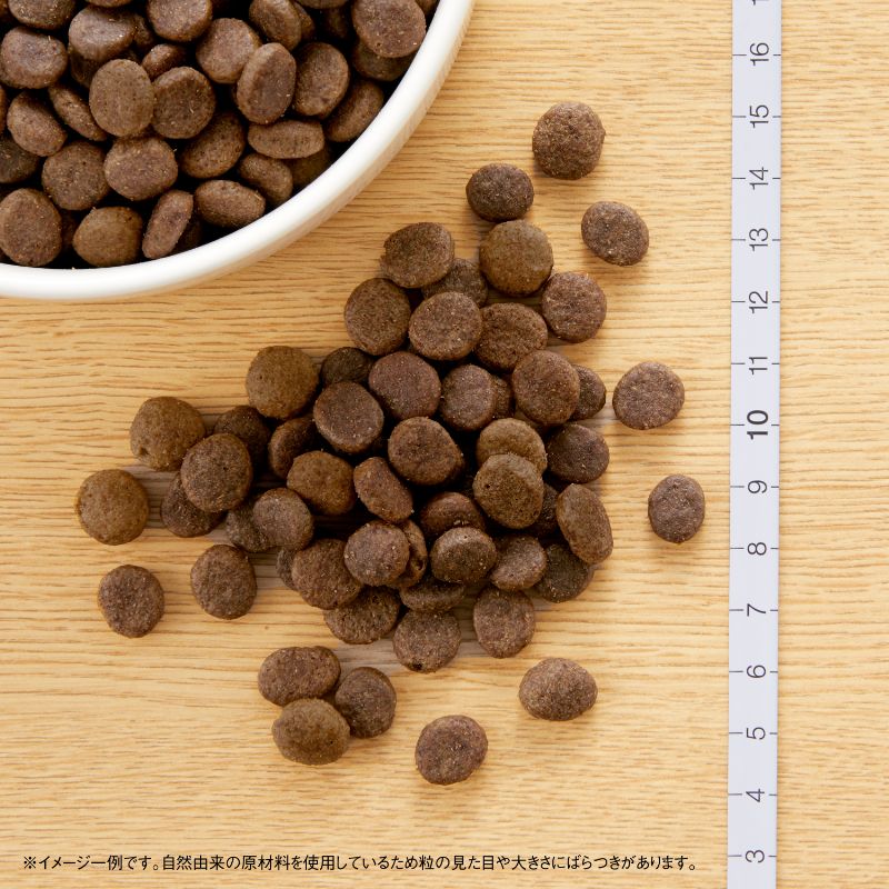 ニュートロ ワイルドレシピ 超小型犬〜小型犬 成犬用 サーモン 2kg(犬・ドッグ)[正規品]ドッグフード 犬 ドライフード