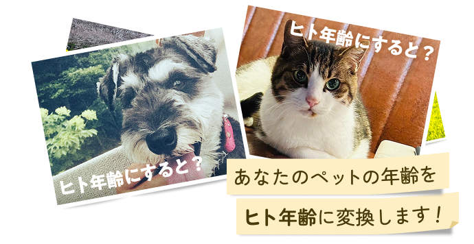 あなたのペット年齢をヒト年齢に換算します！