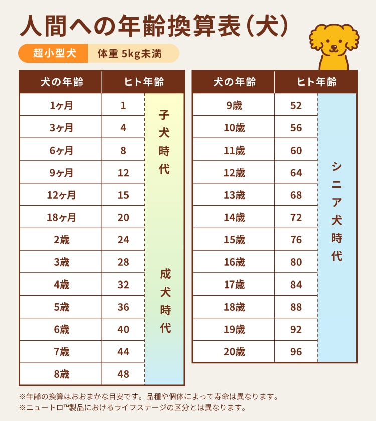 超小型犬
