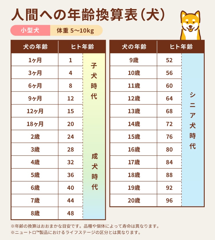 小型犬