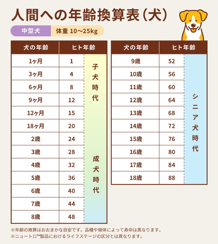 中型犬