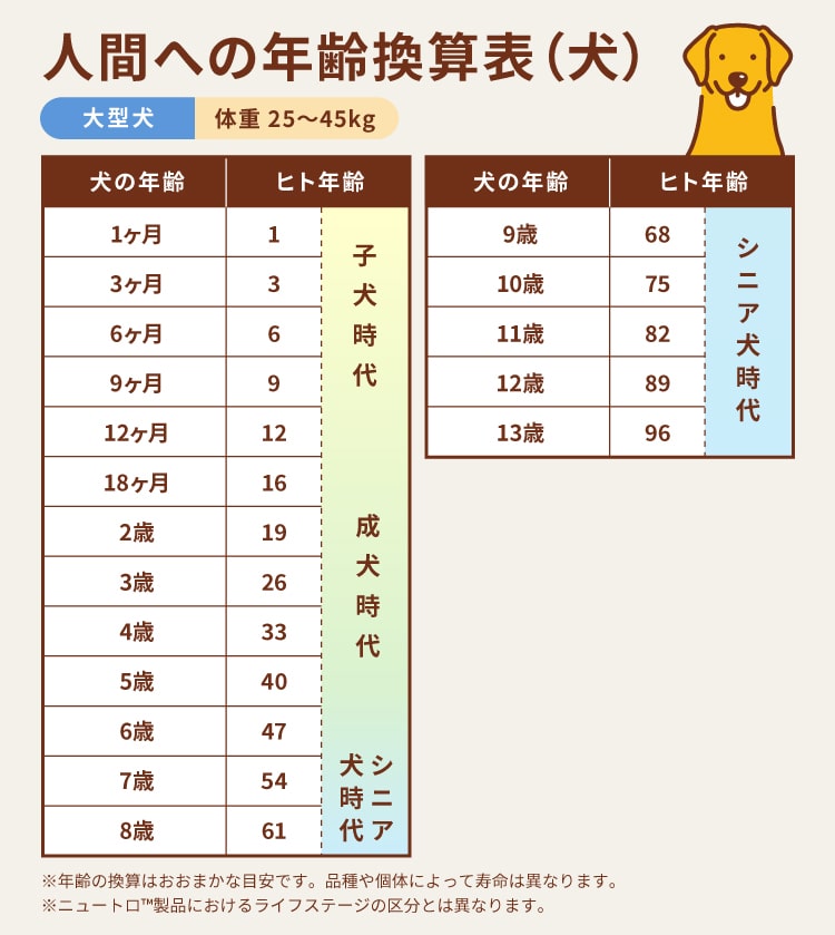 大型犬