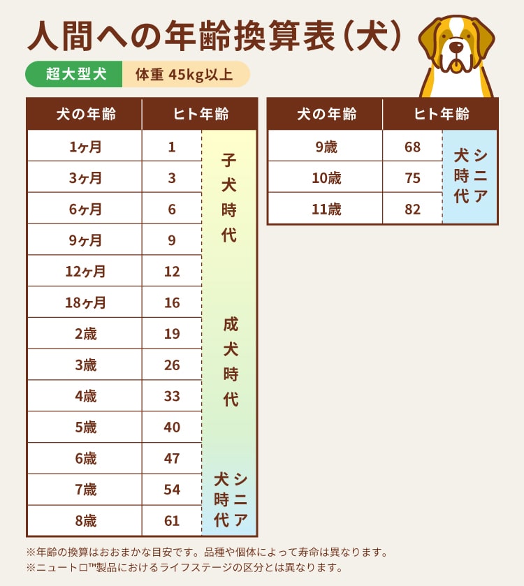 超大型犬