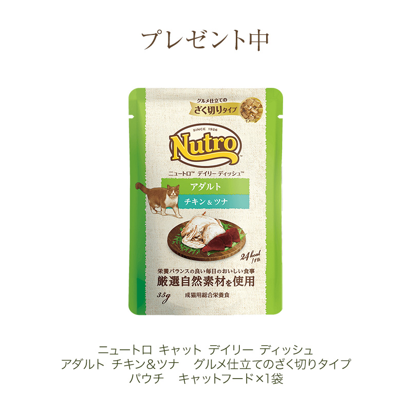 オンラインショッピング 8個セット ニュートロ ナチュラルチョイス 穀物フリー 1歳〜6歳 アダルト サーモン 2kg×8個セット fucoa.cl