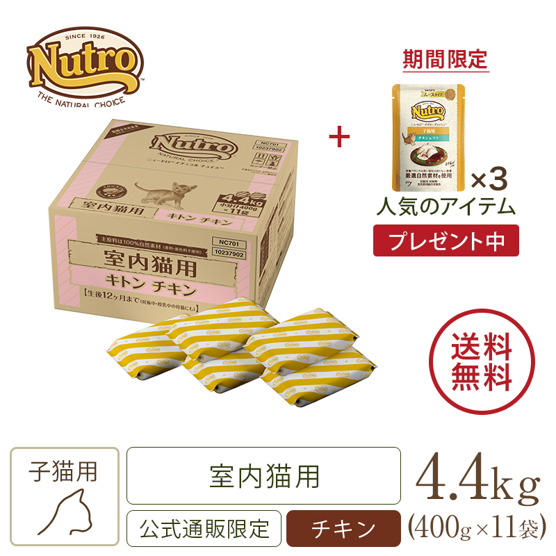 SALE／63%OFF】 500g ナチュラルチョイス サーモン 室内猫用 ニュートロ キャット アダルト キャットフード