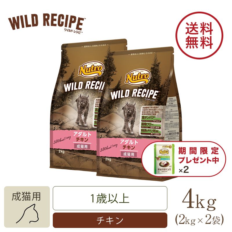 新色追加して再販 ４００ｇ キャット レシピ 成猫用 ディッシュ ワイルド アダルト デイリー ニュートロ おまけ付 チキン パウチ キャットフード