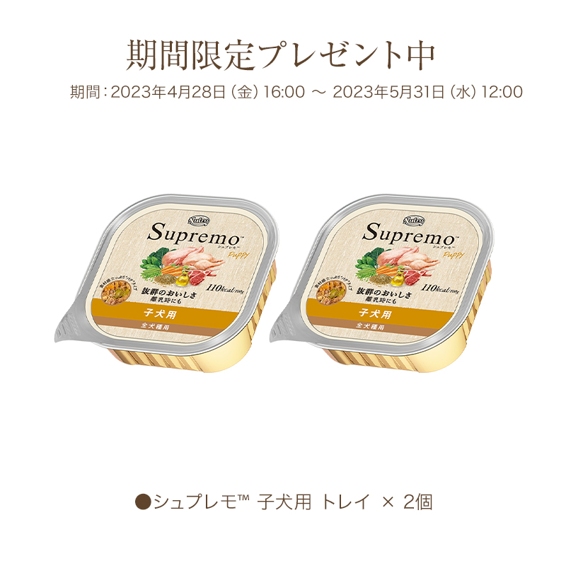 同梱不可】 小粒 子犬用 シュプレモ 計６㎏ ３㎏×２ ペットフード