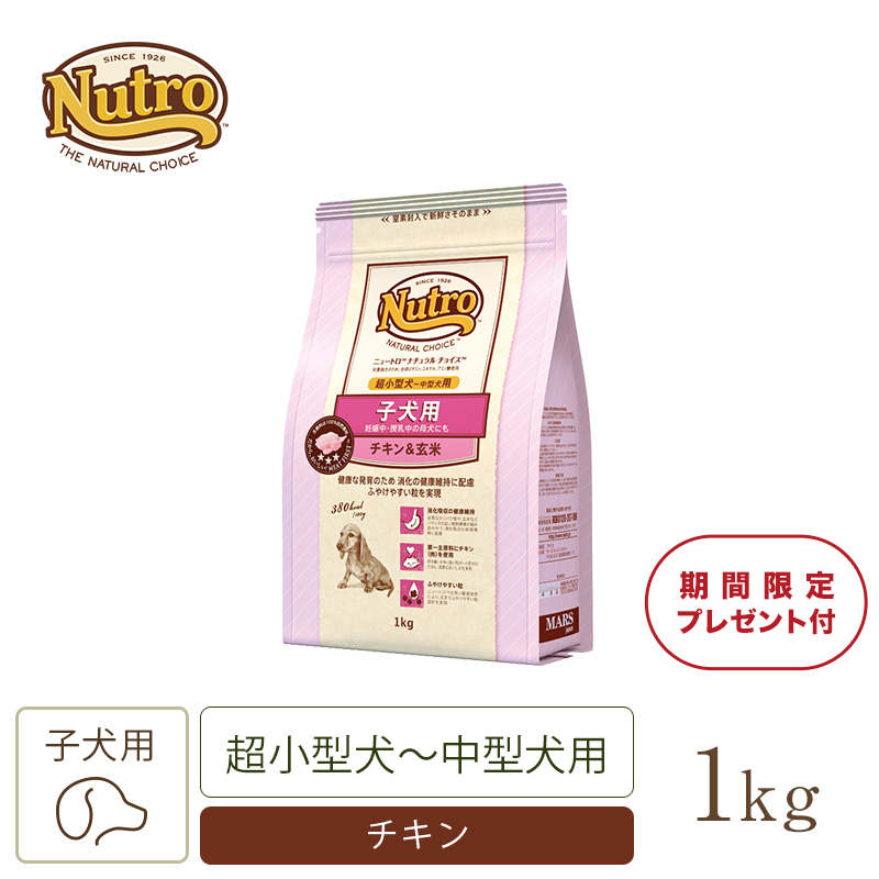 ホットセール ニュートロ ナチュラルチョイス 成犬用 小型犬用 チキン