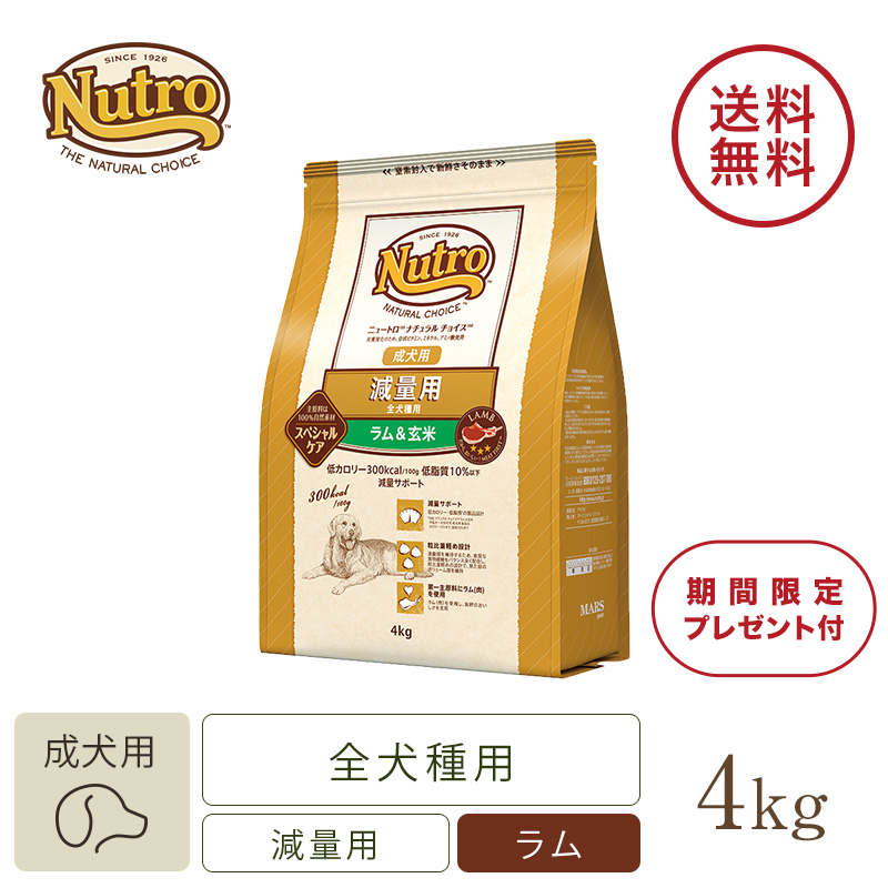 ナチュラルチョイスチキン&玄米小型成犬用19kg protego.md