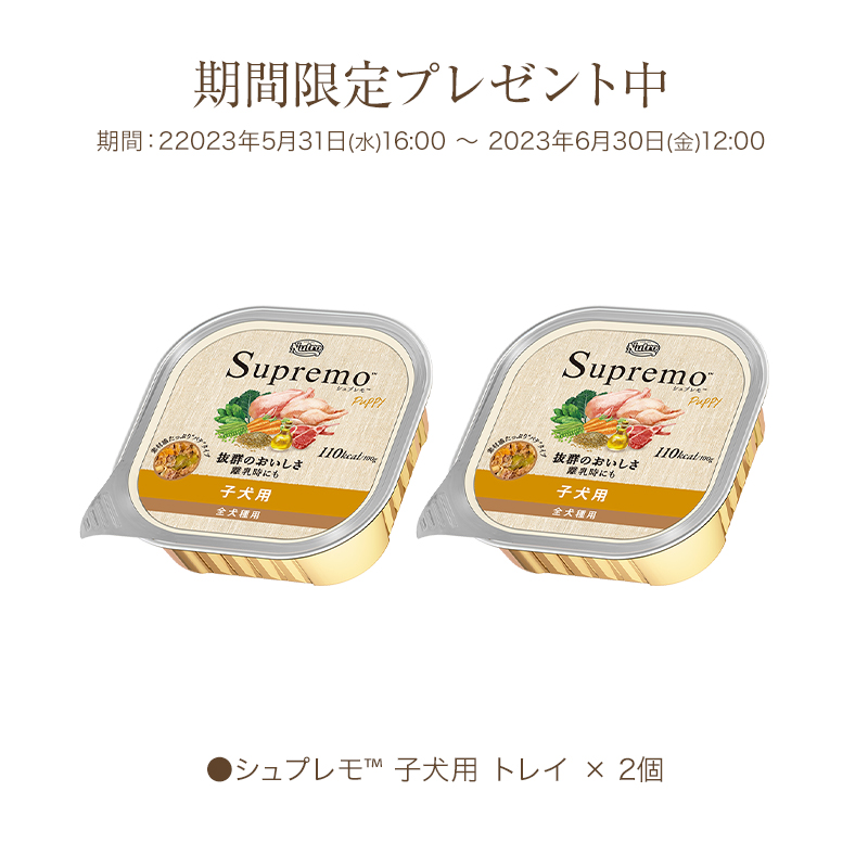 正規販売店】100g×4個⚫シュプレモ 子犬用 全犬種用 幼犬用総合栄養食