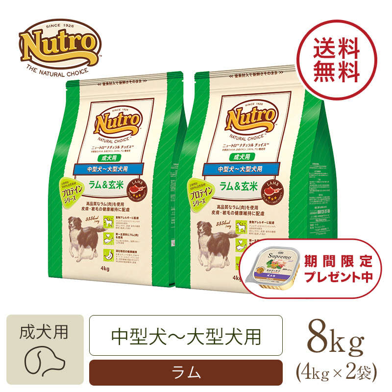 ニュートロナチュラルチョイス中型犬〜大型犬用 成犬用ラムu0026玄米