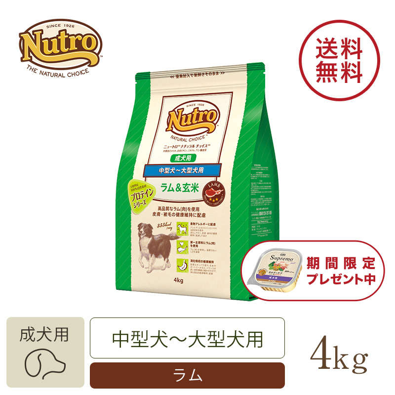 新品本物 ナチュラルチョイスラム玄米小型成犬用17.5kg asakusa.sub.jp