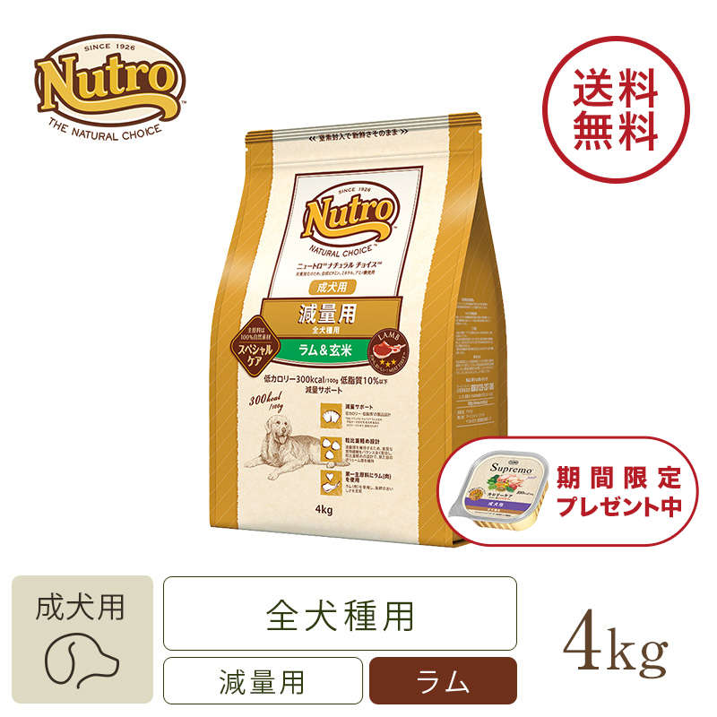 ニュートロ ナチュラル チョイス フィッシュ&ポテト 全犬種用 成犬用 3kg | ニュートロ™公式通販 ニュートロ ナチュラル チョイス フィッシュ&ポテト 全犬種用 成犬用 3kg | ニュートロ™公式通販