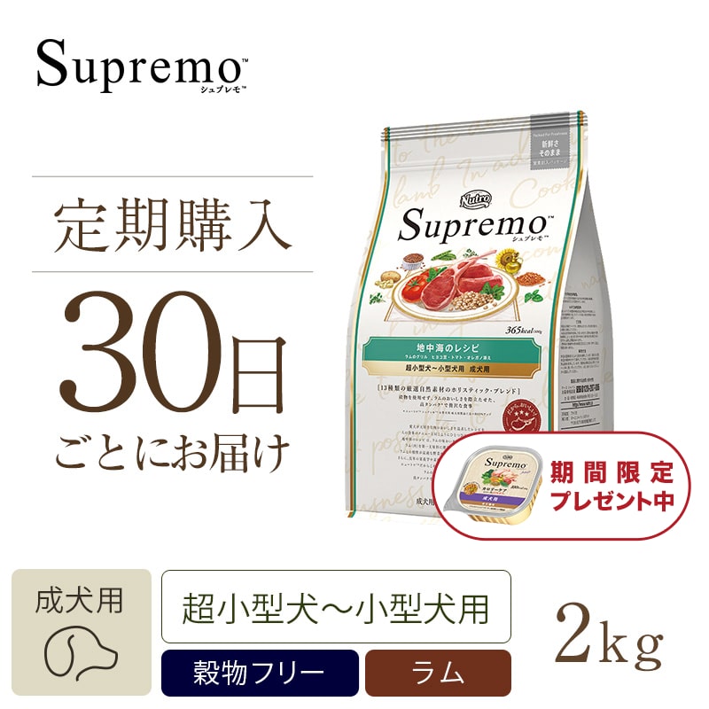 商店 成犬用 800g×5袋 犬 超小型犬用 正規品 ドッグ