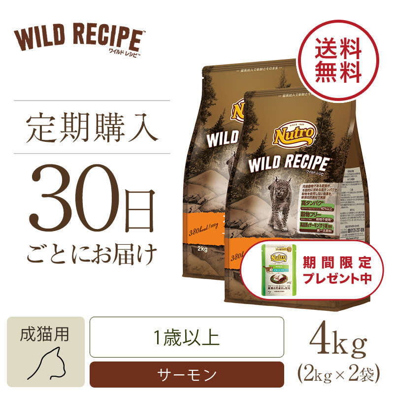 ニュートロ キャット ワイルド レシピ アダルト サーモン 成猫用 2kg 
