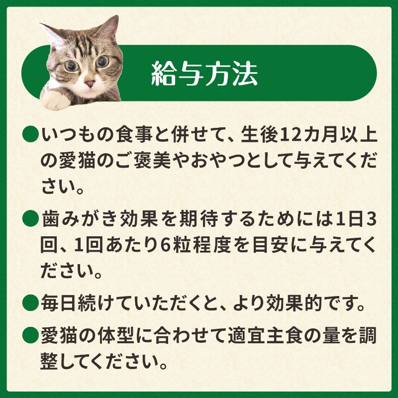 【ポイント交換特典】グリニーズ 猫用 香味サーモン味 60g