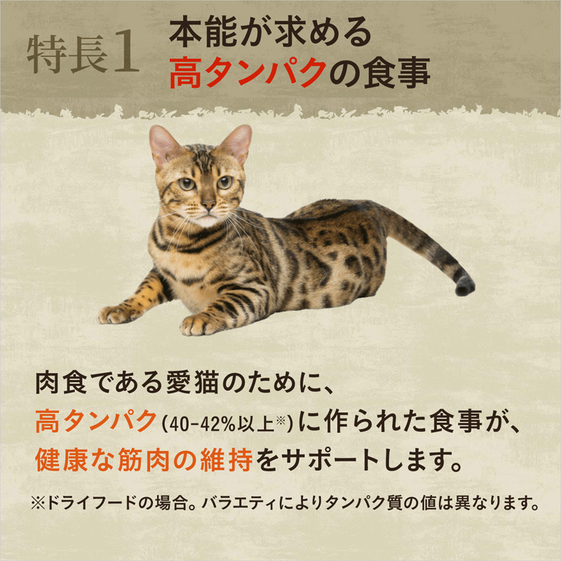 ニュートロ キャット ワイルド レシピ アダルト チキン 成猫用 2kg 