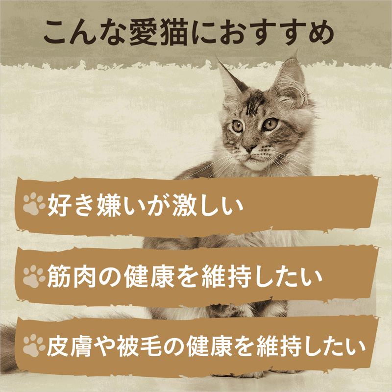 ニュートロ キャット ワイルド レシピ アダルト チキン 成猫用 2kg 