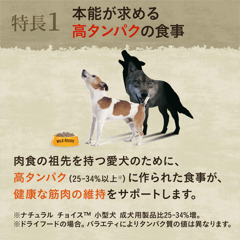 ニュートロ ワイルド レシピ 超小型犬～小型犬用 成犬用 ビーフ