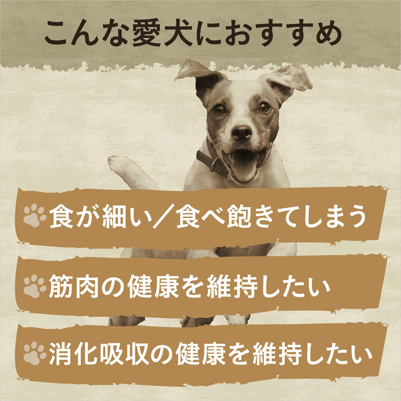ニュートロ ワイルド レシピ 超小型犬～小型犬用 成犬用 チキン 2kg 