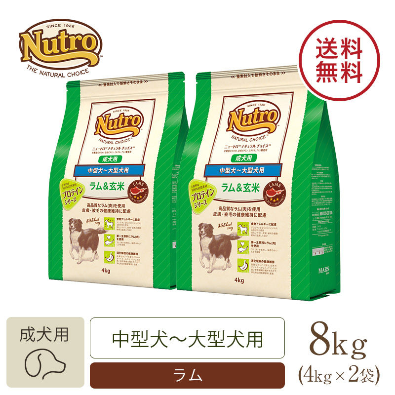 品質保証安い ニュートロ ナチュラルチョイス ラム＆玄米 成犬用 小粒