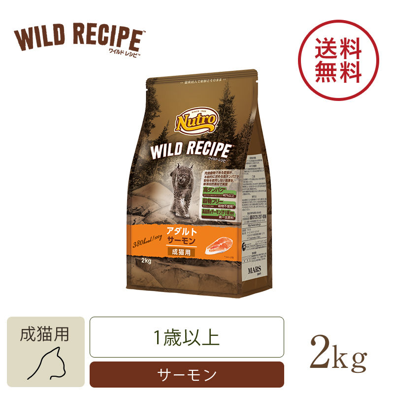 Bwild ビーワイルド アンチョビ キャットフード 3点セット 成猫用