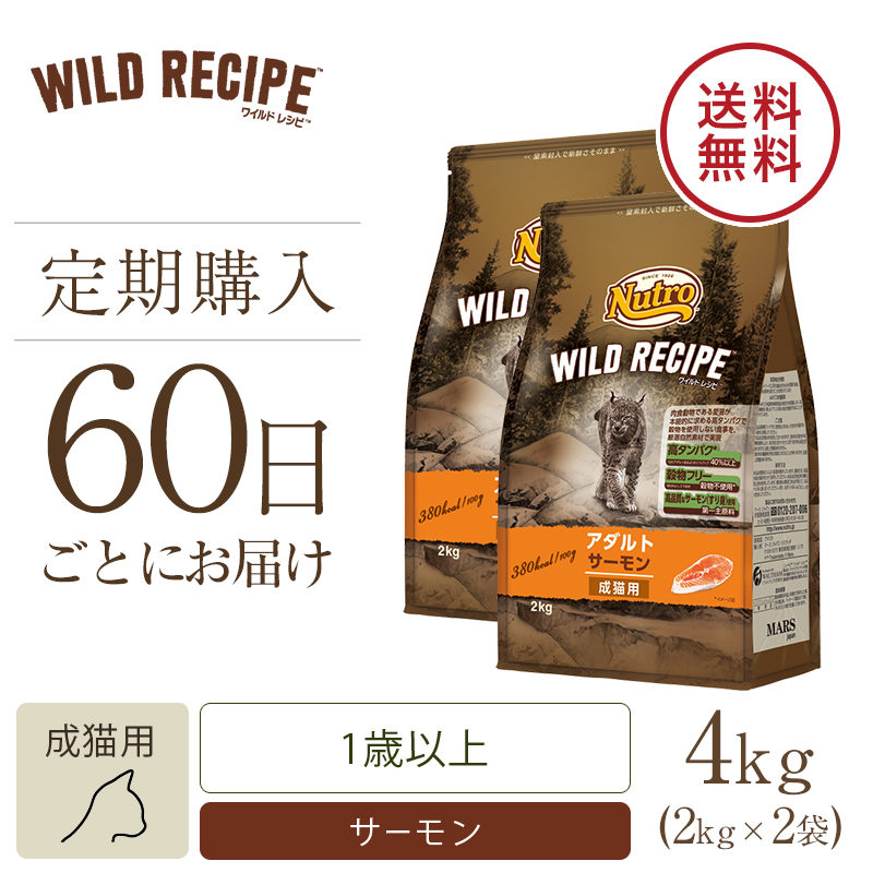 ニュートロ ワイルドレシピ キャット アダルトサーモン 成猫用 2kg×3