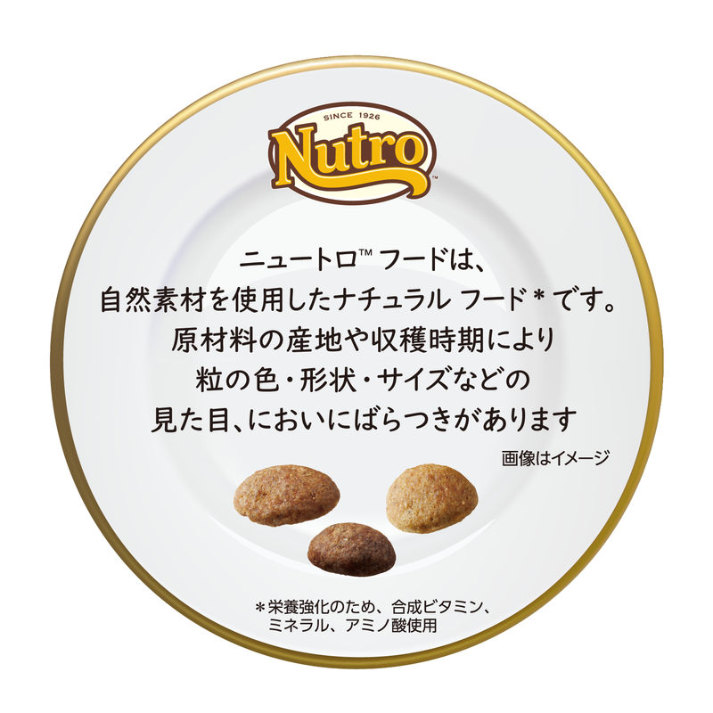 ニュートロ ワイルドレシピ 超小型犬〜小型犬用 成犬用 サーモン 2kg