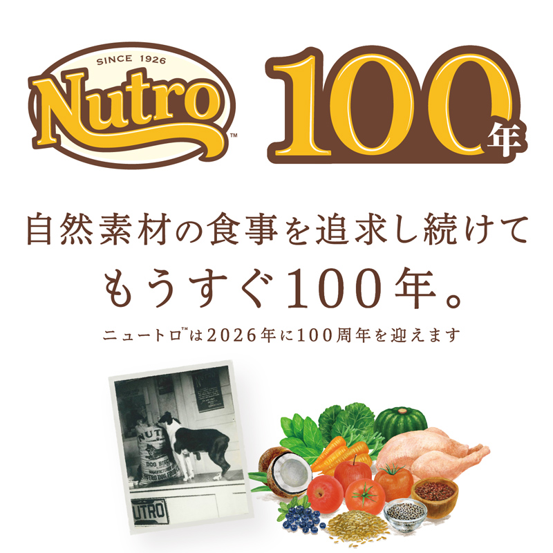 定期90日】ニュートロ シュプレモ エイジングケア シニア犬用 チキン