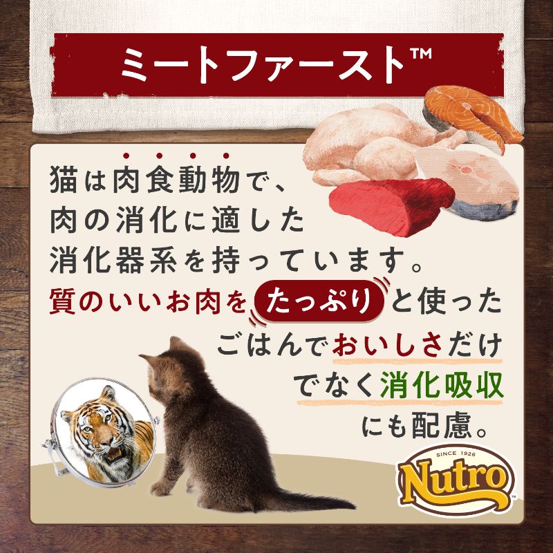 ニュートロ ナチュラル チョイス キャット 室内猫用 キトン チキン 2kg 