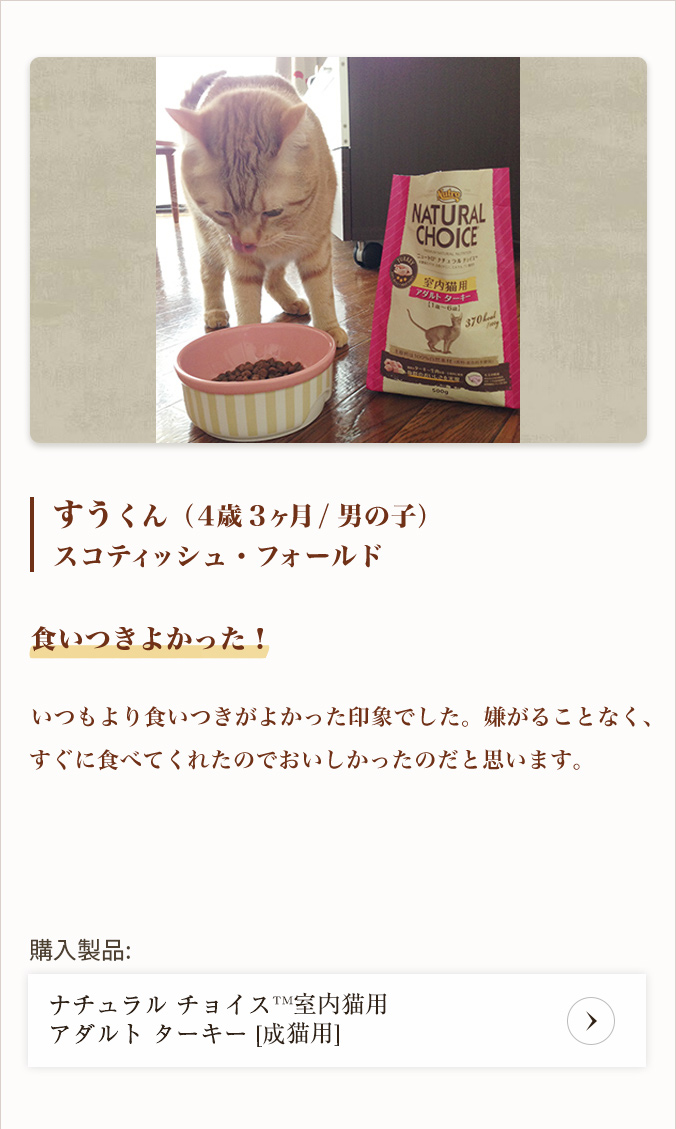 ニュートロ キャット デイリー ディッシュ 成猫用 ターキー グルメ仕立てのパテタイプ トレイ 75g×24個(まとめ買い) キャットフード  YOHhKLsR0U, ペット用品、生き物 - www.velver.hu